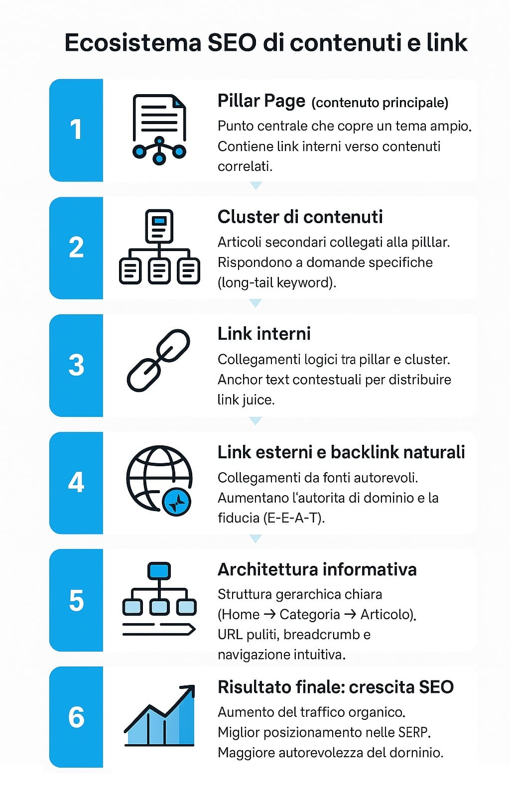 infografica verticale ecosistema seo con pillar page, cluster di contenuti, link interni ed esterni e crescita del traffico